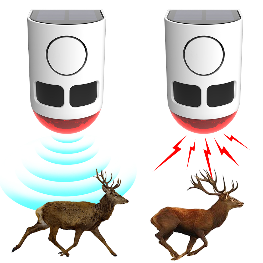 Solar Outdoor Motion Sensor Al - đánh giá và giá Home Security Yard Sensors