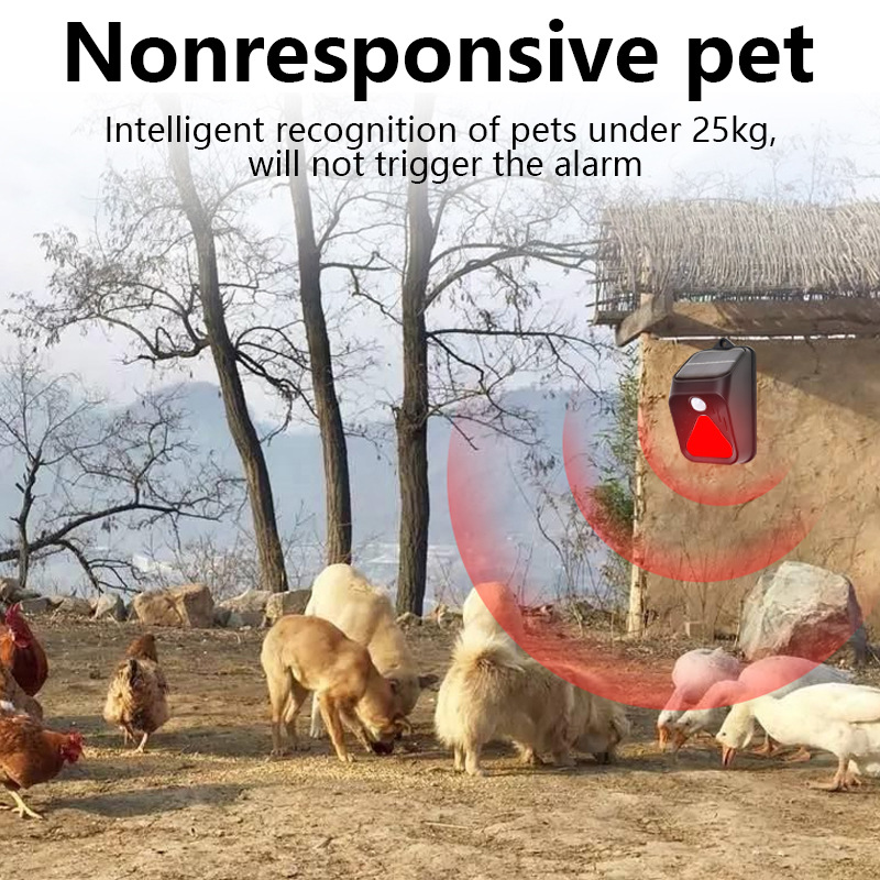 Waterproof Solar Powered Alarm - đánh giá và giá Home Security Yard Sensors