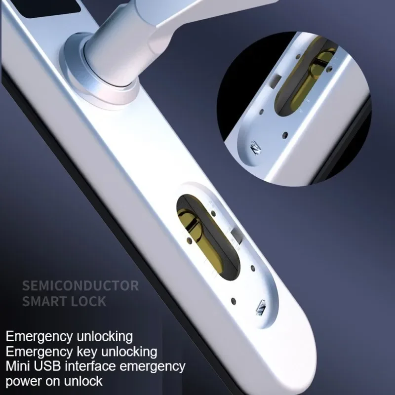 TTLock/Tuya Smart Door Lock Fi - đánh giá và giá Door Lock Smart Keypad