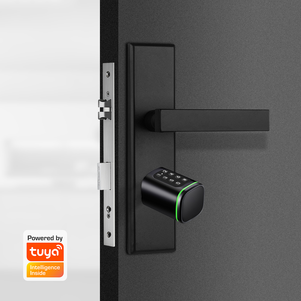 Smart Cylinder Lock Tuya 60-90 - đánh giá và giá Door Lock Smart Keypad